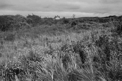 cornwall coast landscape DSC 25368.jpg