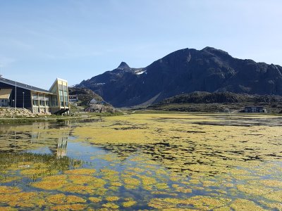Lac, Sisimiut