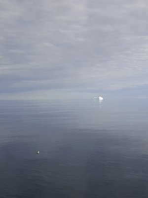Iceberg, Mer de Baffin