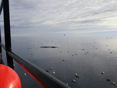 Pêche, Mer de Baffin