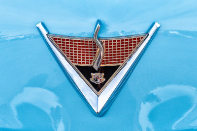 ASCF8757.jpg