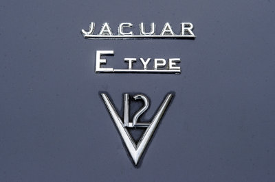 DSE_8249.jpg