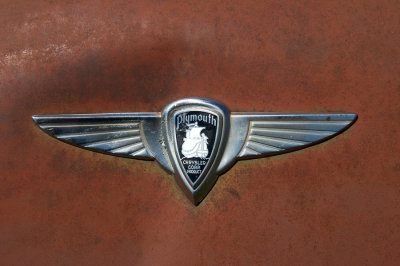 DSE_2963.jpg