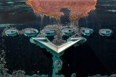 BAA_5885.jpg