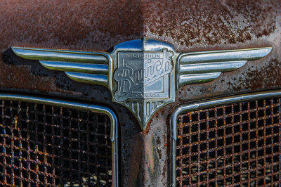 DSE_4449.jpg