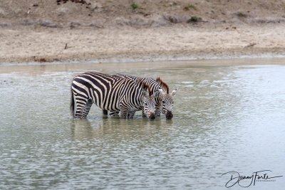 Tanzania