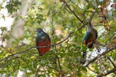 DSC_8444.JPG