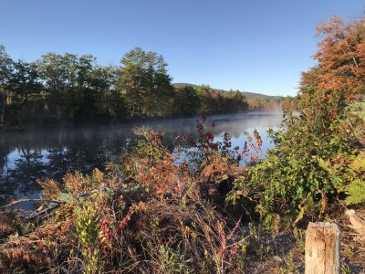Maine morning mist & color