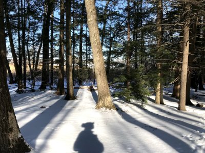 Maine Audubon snow silouette