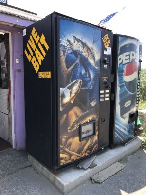 Live Bait vending