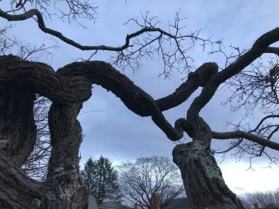 g12/72/770172/3/171307629.pxm1nS6y.jpg