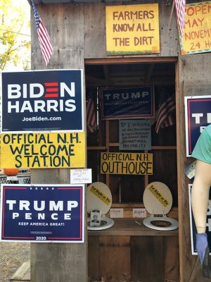 NH Election options