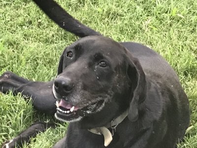 Ranger