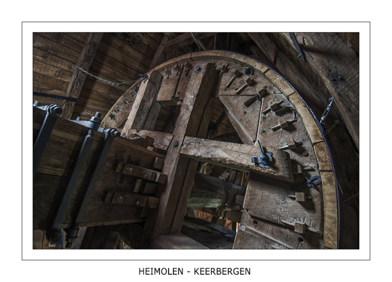 029 Het vangwiel