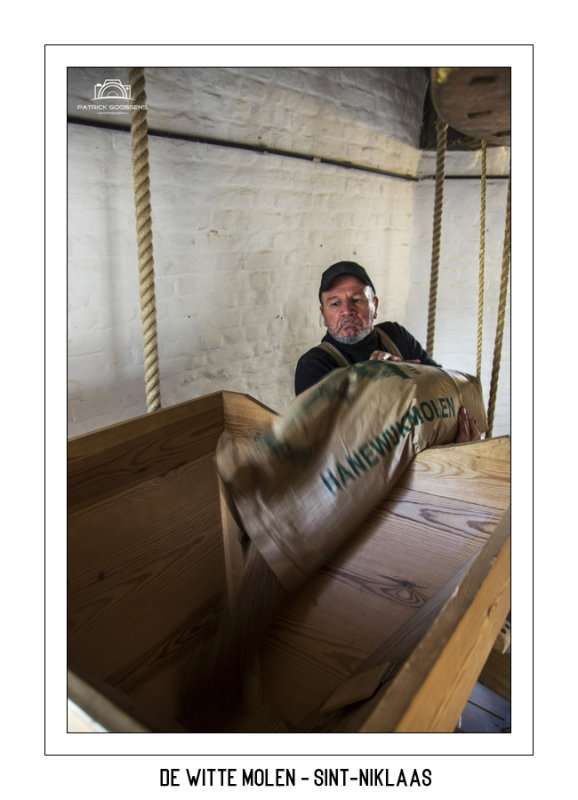 Miller Eddy filling the feeder