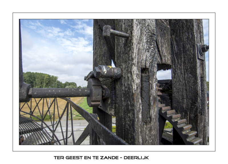 004- Kettingkruier 