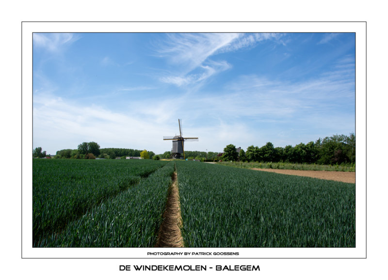 004 Mooi in een Agrarisch landschap