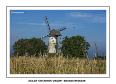 Focus on towermill Molen Ter Zeven Wegen in Denderwindeke