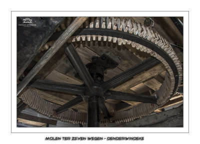 Spur gear