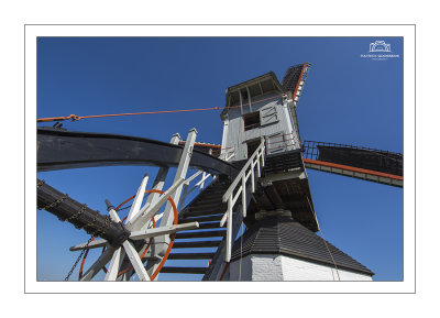 View over the tail and stairs.