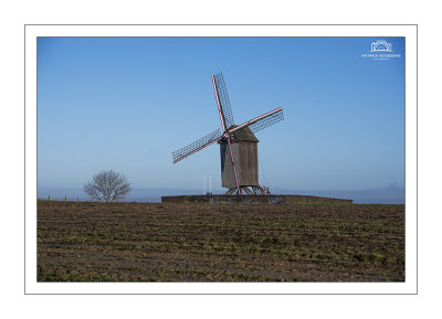 Tissenhovemolen in betere dagen 