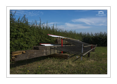De gebroken roede