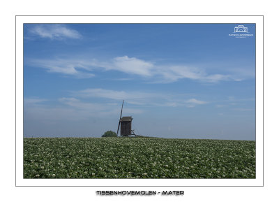 Open landschap