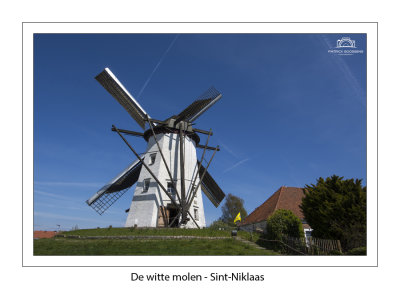 Focus on octagonal towermill de witte molen in Sint-Niklaas