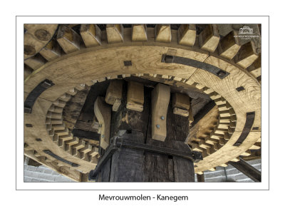 The wooden spurwheel