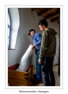 Filling the feeder of the oatcrusher