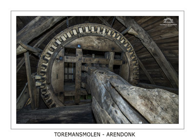 Brakewheel and windshaft