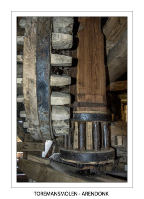 Shaft with small lantern gear