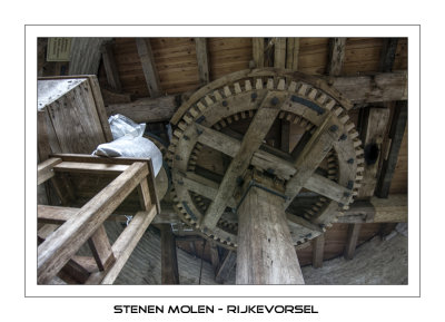 View up on the large spurwheel