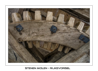 The teeth of the spurwheel