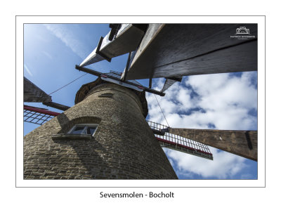 Sevensmolen Bocholt  frogs view