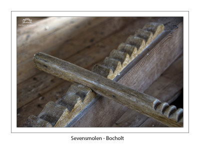 Sevensmolen Bocholt 2021 -  (71).jpg