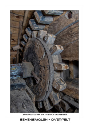 Detail van het tandwiel - Cogged pinion wheel in detail