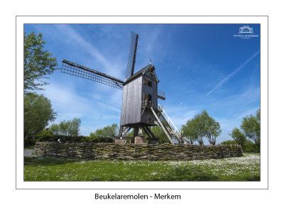 004 In het voorjaar