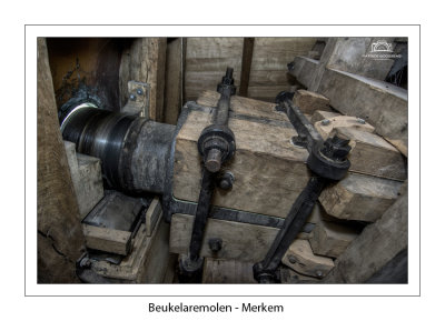 019 Hals of steenlager