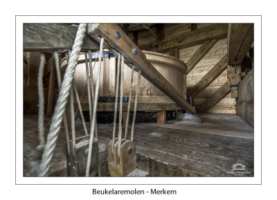 041 Lichtvlegel