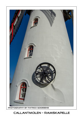 006 Riemschijf 