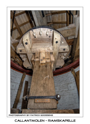 025 Koningspil en bonkelaar