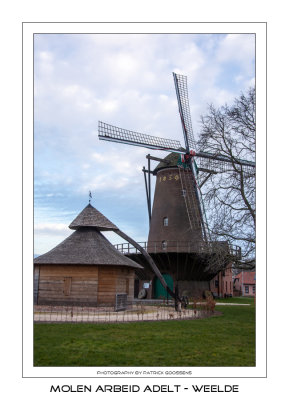 006 Windmolen en rosmolen