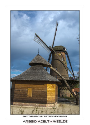 081 De olierosmolen