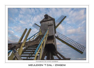 009 Mooie kleurenvoering