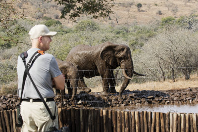 Mike and the Elephants_Manyoni Reserve