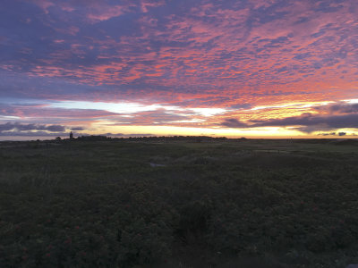 Nabben morgon sept IMG_4738.jpg