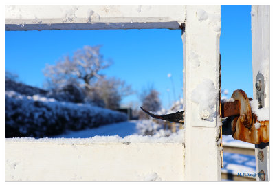 Farm Gate
