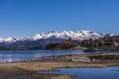 Wanaka 2019