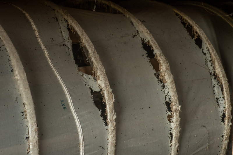 20190428_DSC8471.jpg